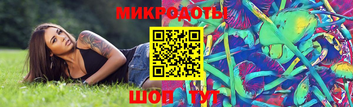 Галлюциногенные грибы прущие грибы Ртищево