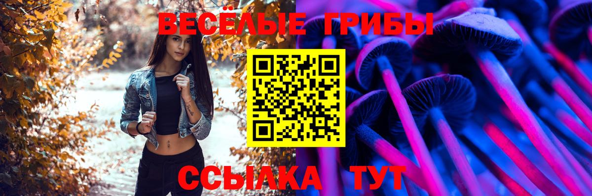 Псилоцибиновые грибы Psilocybine cubensis  Вход с VPN  Ртищево 
